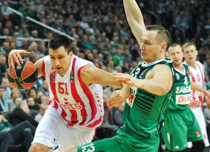 Bjelica (Žygimantas Gedvila, Fotodiena.lt)