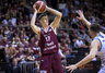 M.Rubštavičius keliasi į Australiją (LKL nuotr.)