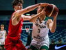 V.Žygas pelnė 20 taškų (FIBA nuotr.)