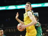 L.Birutis surinko 15 taškų ir atkovojo 17 kamuolių (Fotodiena.lt)