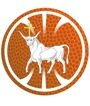 kauno baltai logo 12