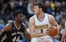 D.Gallinari gali persikelti į Los Andželą (Scanpix nuotr.)