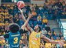 C.Brownas žais LKL