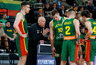 R.Kurtinaitis įvertino darbo rinktinėje iššūkius (BNS nuotr.)