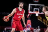 D.Barthelis baigė karjerą (FIBA nuotr.)