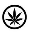 marijuana zole kanape
