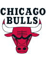 bulls logo 08